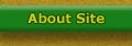 About Website